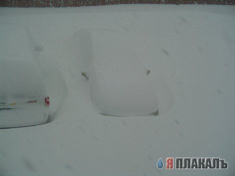 ЗИМА. Зимние картинки, отмороженная подборка