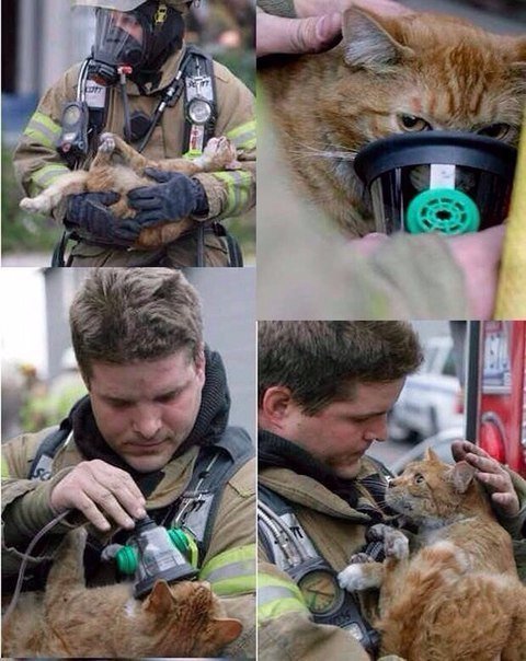 Ассорти картинок из сети