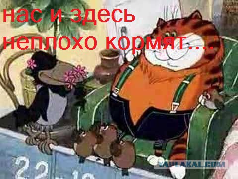 Остаться голодным в мишленовском ресторане