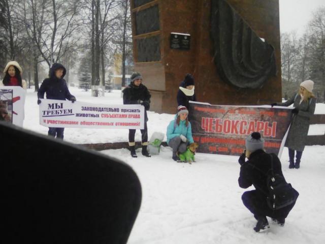 Живодерки из Хабаровска