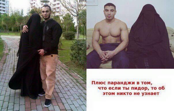 Порция картинок