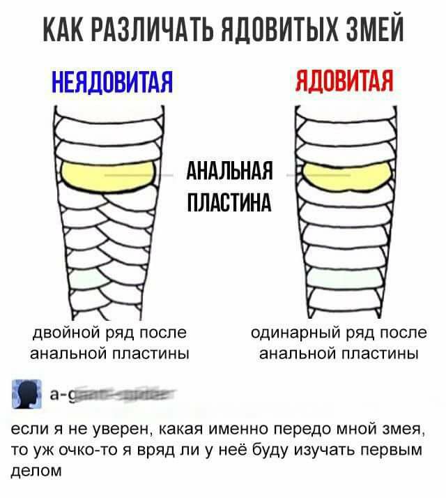 Просто юмор 21