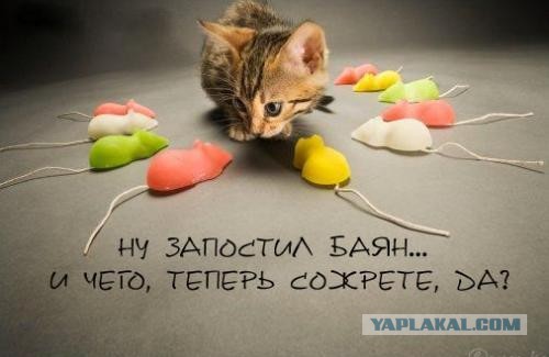 Почему старые шутки и новости называют "баян"