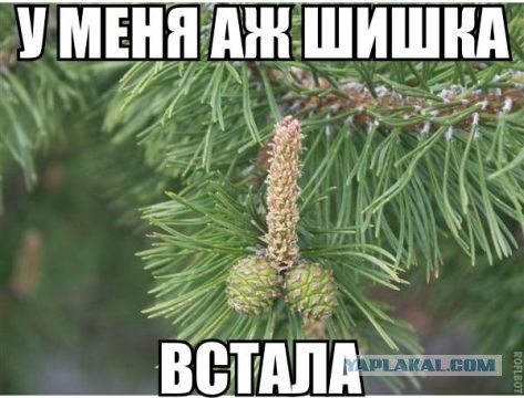 Срамота на пляже 16+