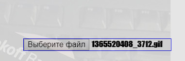 Итоги проверки пользователей