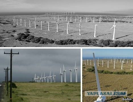 Убийца бензоколонок уже в Америке!