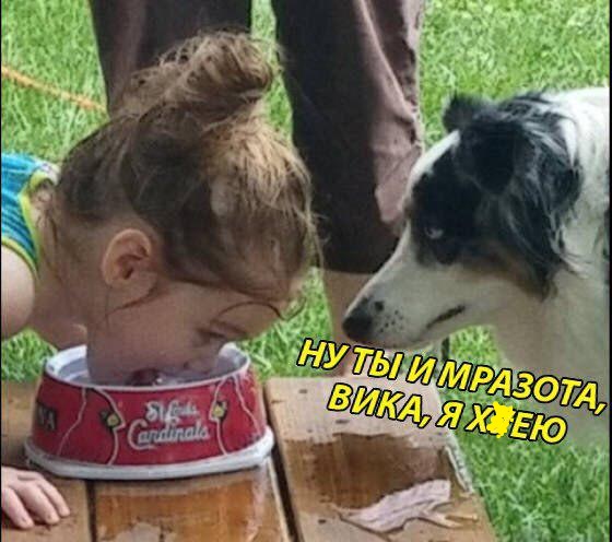 Нестандартный юмор