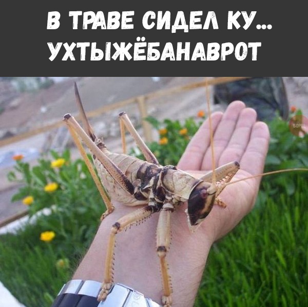 Немного картинок в это воскресенье