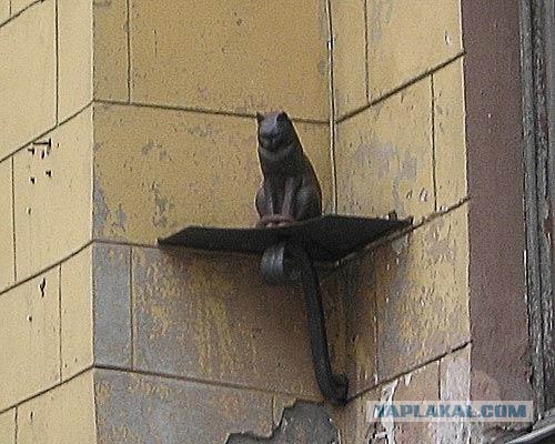 Котовторник. А как же?!