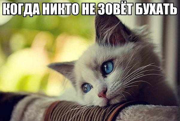 Немного милоты