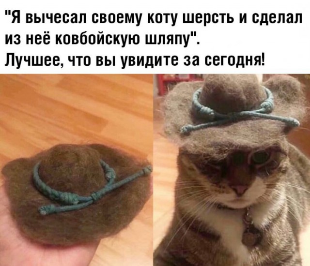 Немного картинок для настроения