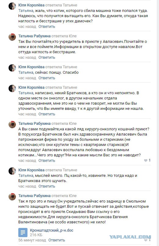 Помогите вернуть кота! Приют "Преданное сердце" украл кота и не отдает!