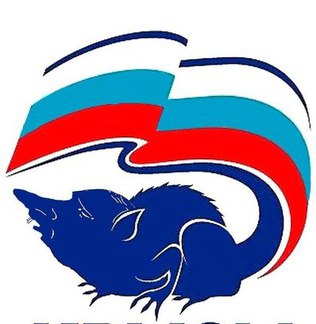 Путин прокомментировал деятельность оппозиции фразой «бардак нам не нужен»