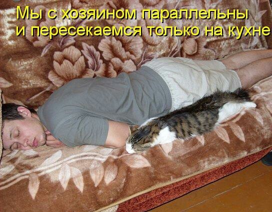 Хвостатые—усатые