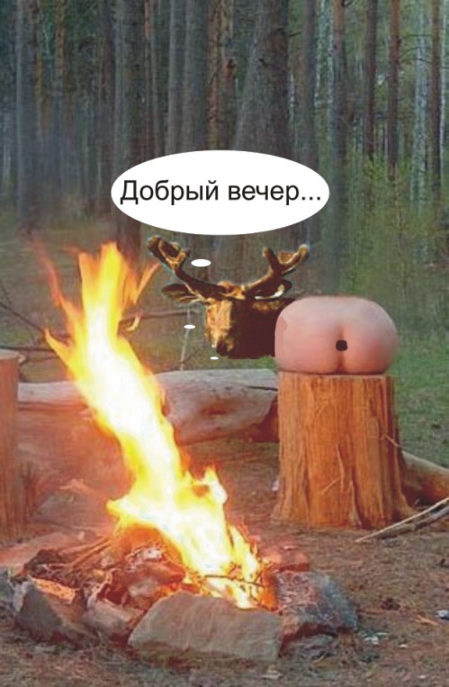 Фотожаба: Жопоколобок