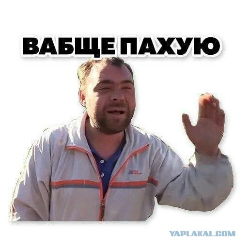Пёс который повидал жизнь