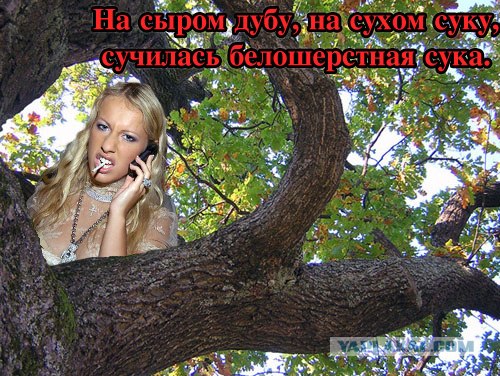 Фотожаба: Скороговорка