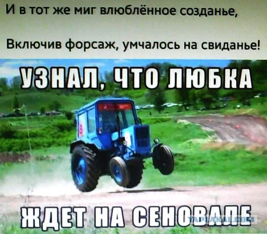 Немного картинок для настроения 20.10.20