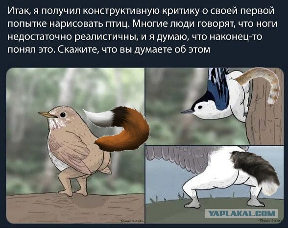 Боянистые картинки 06.12.20