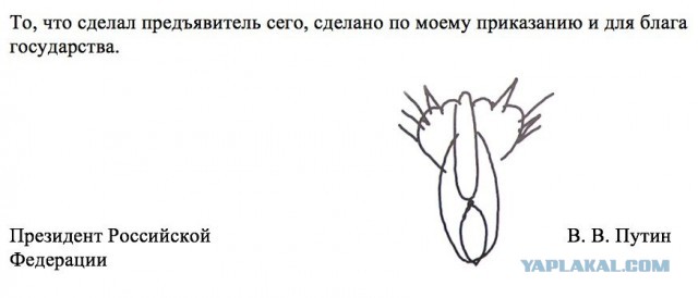 Вы тоже это видели? Путин ответил на обращение Пашкетта!