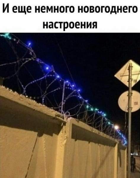 Боянистые картинки 19.12.20