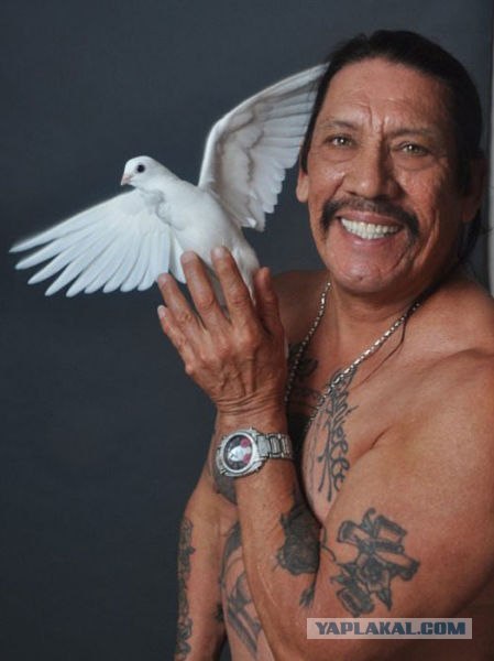 Фотожаба: Мачете не смсит