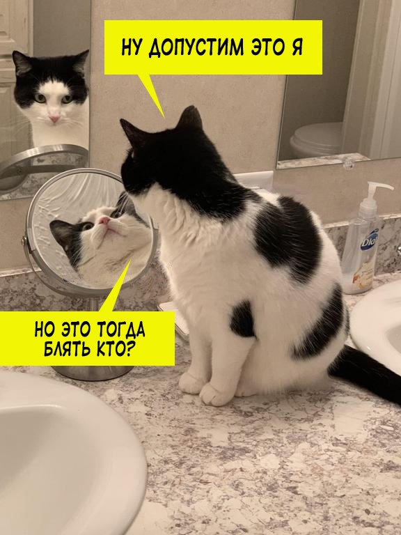 Весёлый полтишок 17.02