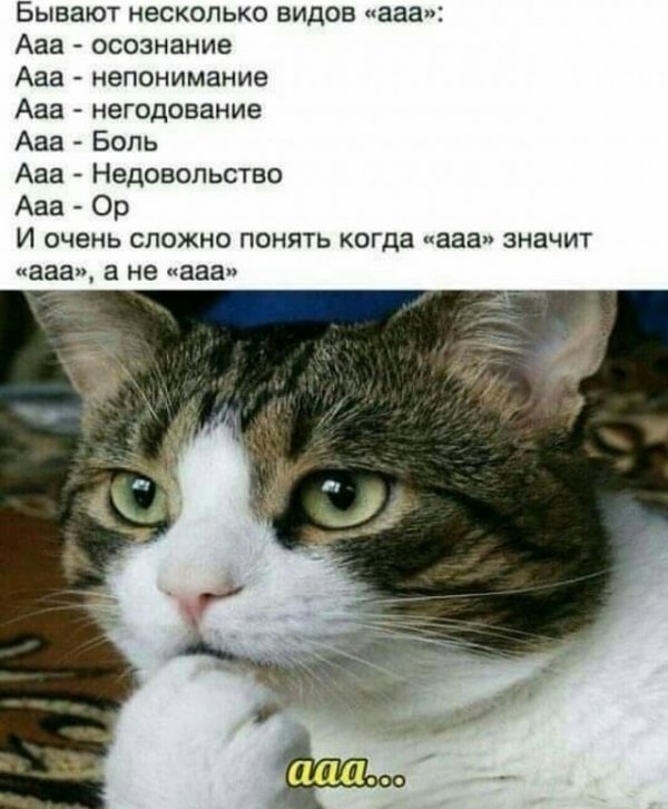 Картинки и мемы для настроения 023