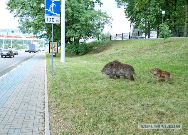 Белгород: хрюши нашего города