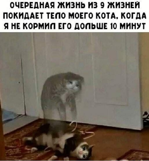 Картинки с надписями и всякие жизненные фразы 30.04.21