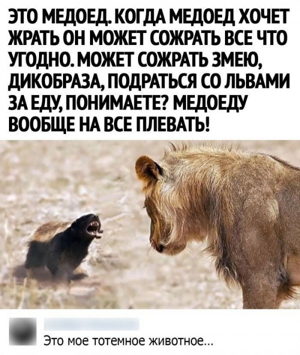 Всякие разные картинки 14.07.21
