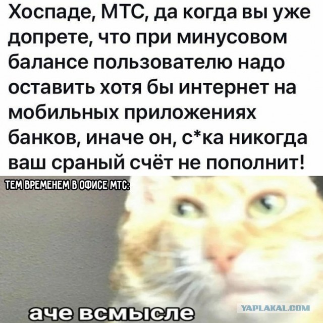 Картинки и мемы для настроения 28.07.2021