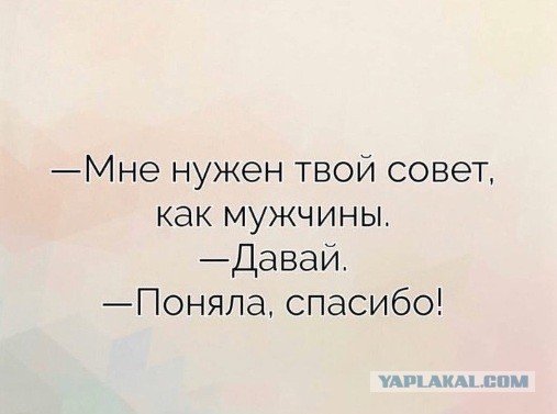 Почему современные парни не добиваются красивых девушек?
