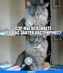 Гинцбург заявил о необходимости привить 10 млн подростков за полгода