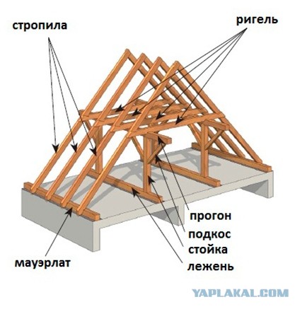 Где их искать? К кому обращаться?