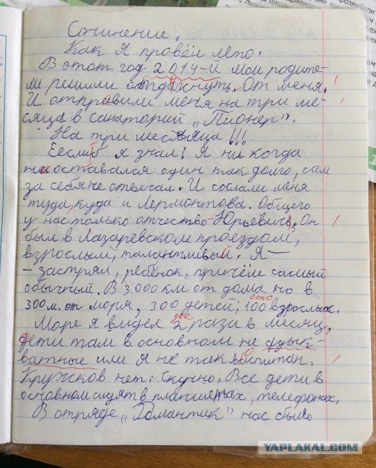 Так себе картинки 12.02.22