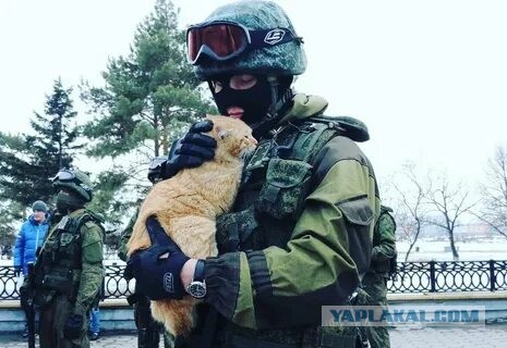 А чем заняты патриоты Украины в ожидании неминуемого наступления Путина?