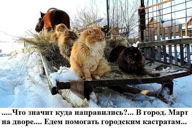 Так себе картинки 24.03.22