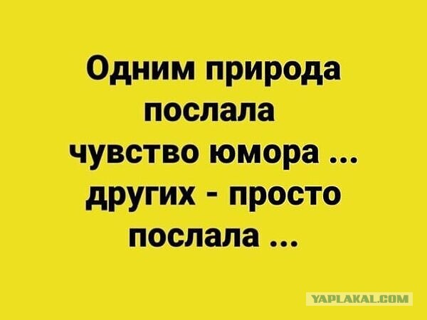 Весёлый полтишок 08.06.2022