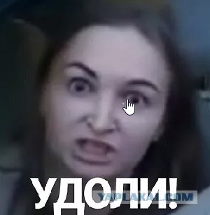 Экс-чиновница «не просили вас рожать» получила новую работу