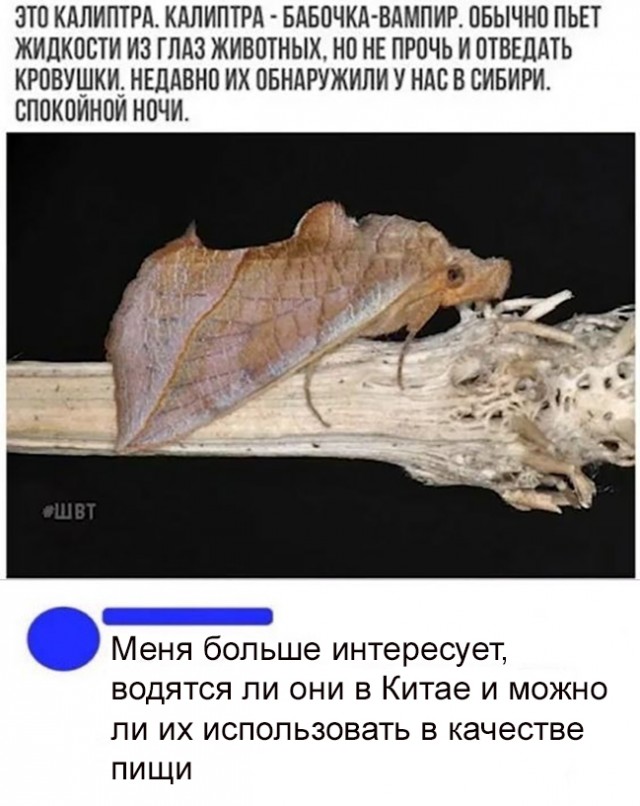 Так себе картинки 14.07.22