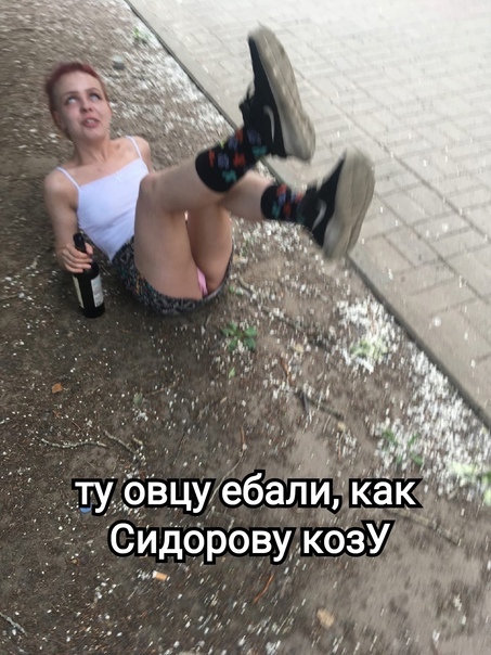 Скотсети и прочие интернеты 15.07.22