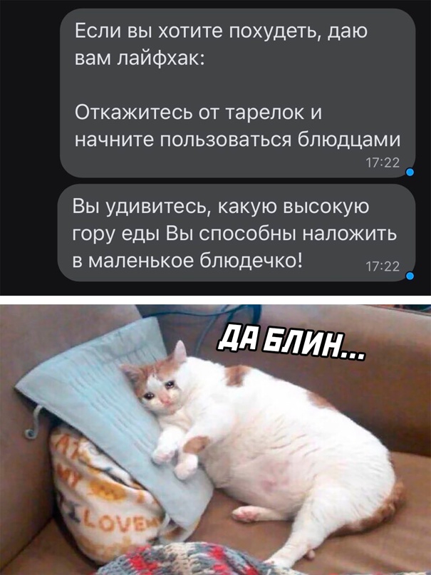 Весёлый полтишок 15.07.22