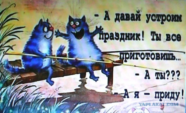 Картинки и мемы для настроения. Выходные рядышком...