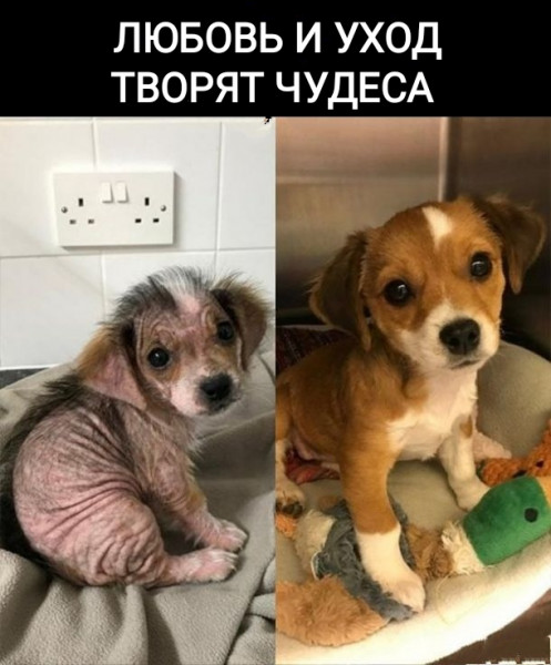 Мемы на конец июля