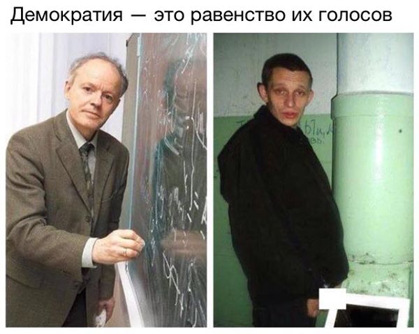 Пандемия съехавших крыш - разновидности болезни. Россия и мир. Часть 41.
