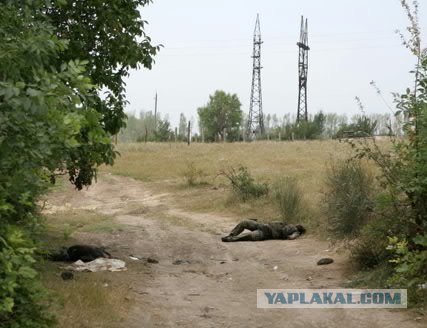 Кавказ-2012