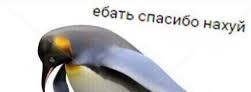 США помешали Украине убить начальника Генштаба ВС РФ