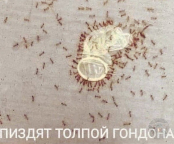 Так себе картинки 26.02.23