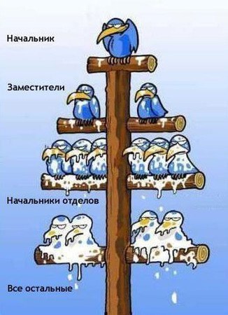 Примеры невероятного лизоблюдства